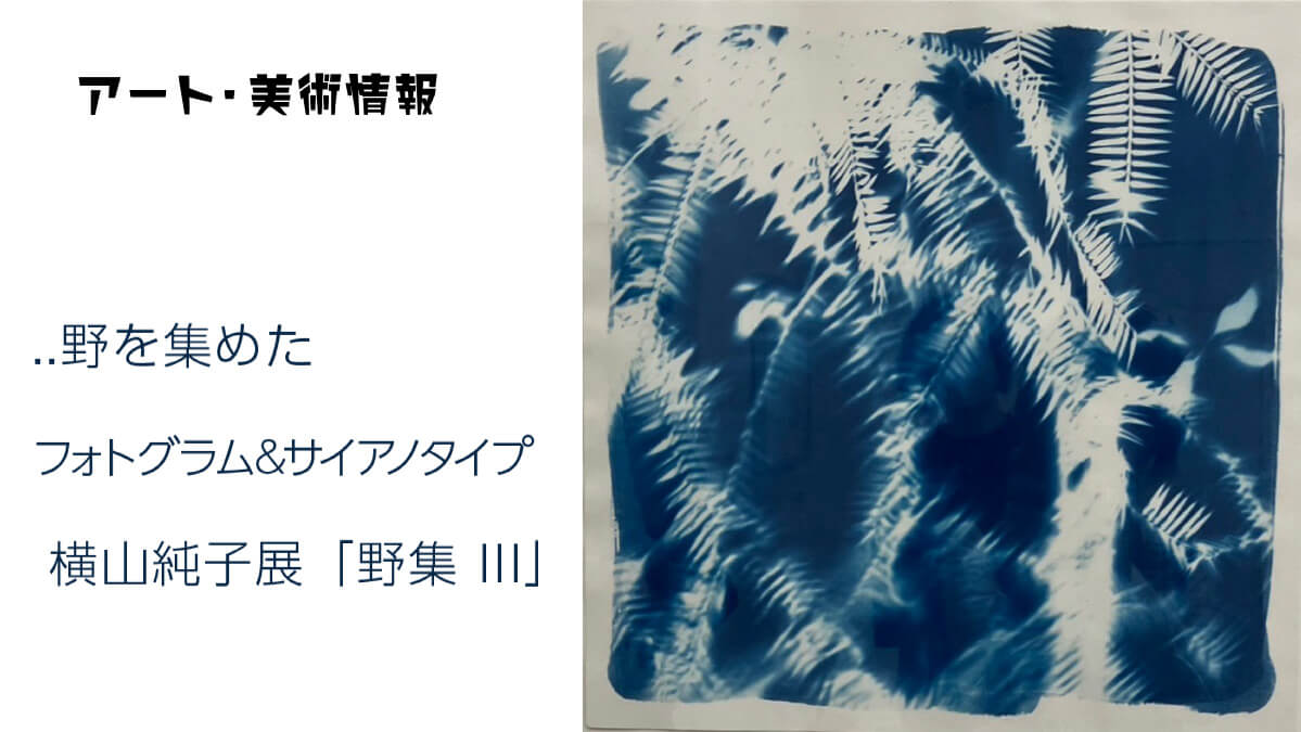 artist-sumiko-yokoyama