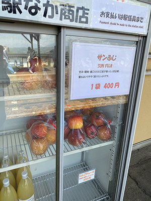 nagano-dentetu-ringo